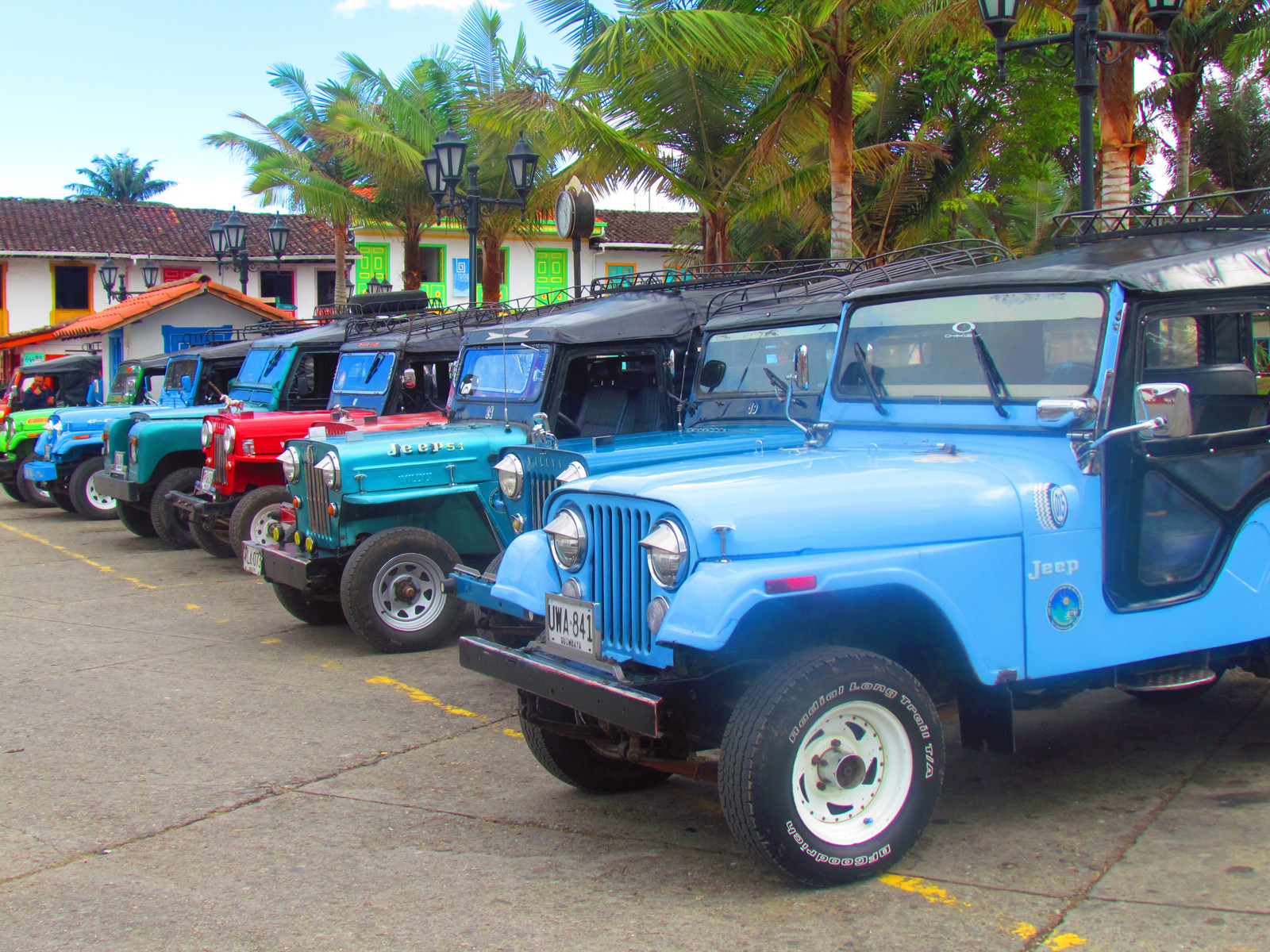 Долина Кокора на западе в Колумбии. Фото 7 – фотографии Колумбии