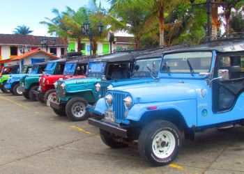 Долина Кокора на западе в Колумбии. Фото 7 – фотографии Колумбии