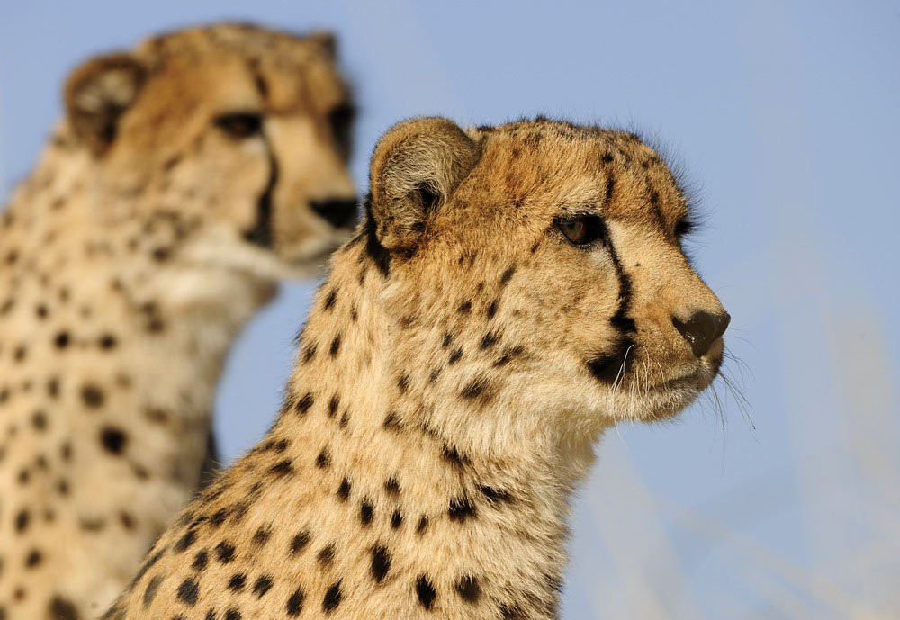 Намибия, фото № 5598 – фотографии Намибии