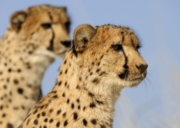 Намибия, фото № 5598 – фотографии Намибии