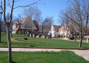 Ифран, Марокко, фото № 7499 – фотографии Марокко