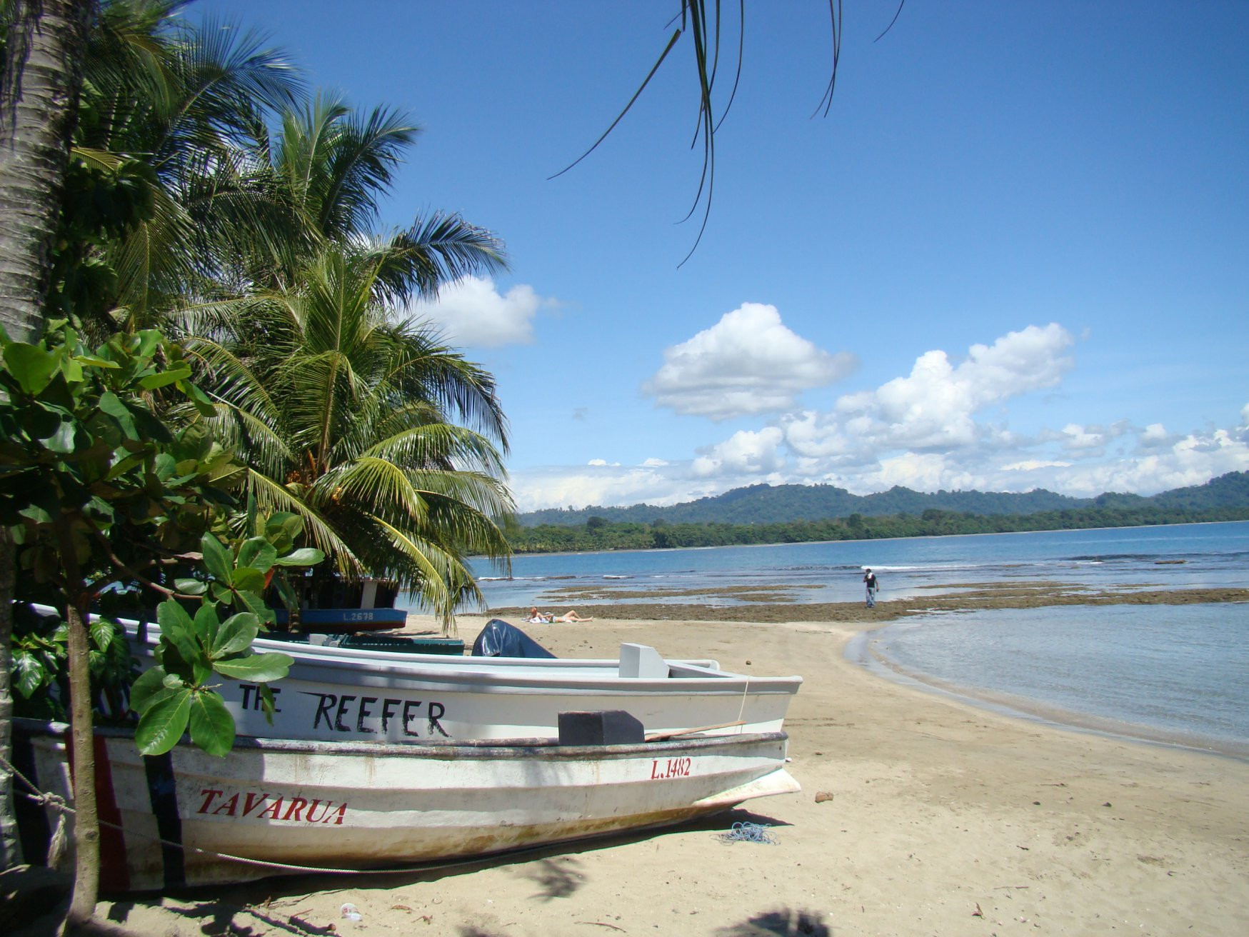 Пуэрто Вьехо, Лимон провинция, Коста-Рика, фото № 40175 – фотографии Коста-Рики