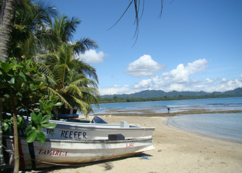 Пуэрто Вьехо, Лимон провинция, Коста-Рика, фото № 40175 – фотографии Коста-Рики