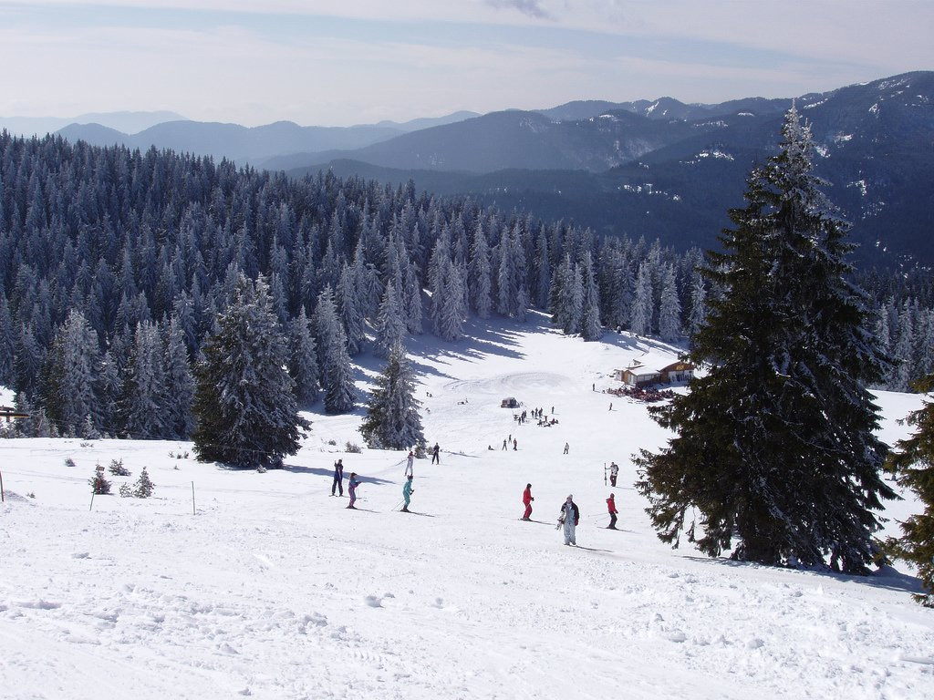 Горнолыжный курорт в Пампорово, Болгария. Фото 4 – фотографии Болгарии