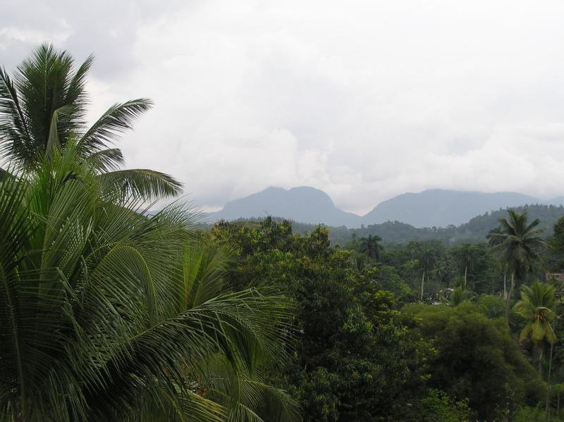 Ратнапура, Шри-Ланка, фото № 52205 – фотографии Шри-Ланки