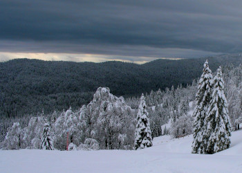 Соришка Планина, Словения, фото № 57557 – фотографии Словении