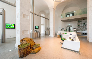 Пивоваренный завод Фрайштадта внутри. Австрия – фотографии Австрии