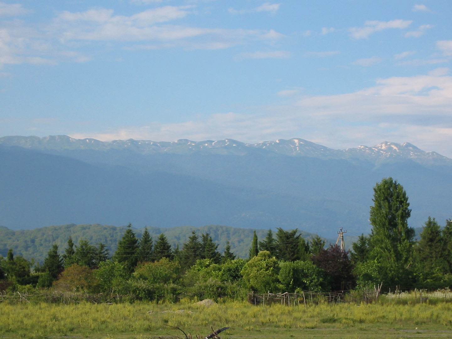 Лес и горы. Пицунда. Абхазия – фотографии Абхазии