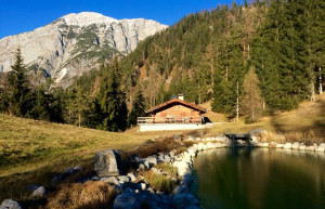 Домик в лес. Зальфельден. Австрия – фотографии Австрии