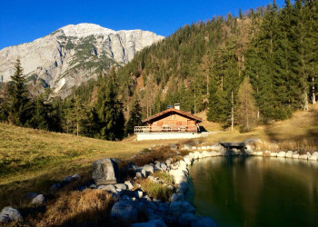 Домик в лес. Зальфельден. Австрия – фотографии Австрии