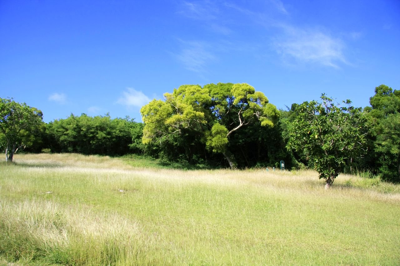 Сайпан остров, Северные Марианские острова, фото № 73182 – фотографии Северных Марианских островов