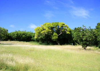 Сайпан остров, Северные Марианские острова, фото № 73182 – фотографии Северных Марианских островов