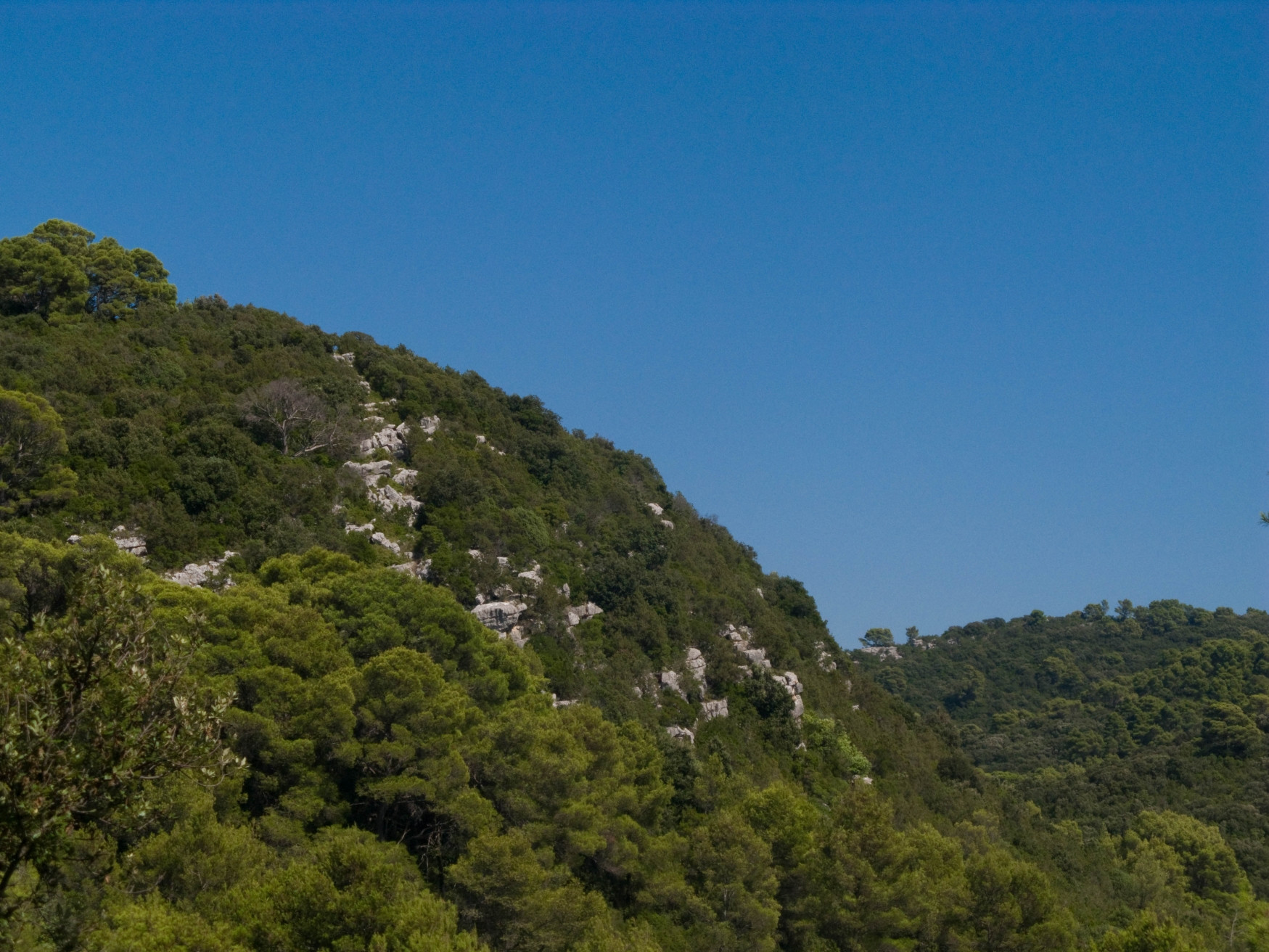 Природа в Национальном парке, Хорватия. Фото 4 – фотографии Хорватии