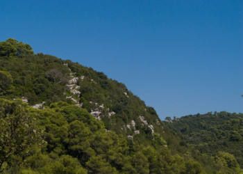 Природа в Национальном парке, Хорватия. Фото 4 – фотографии Хорватии