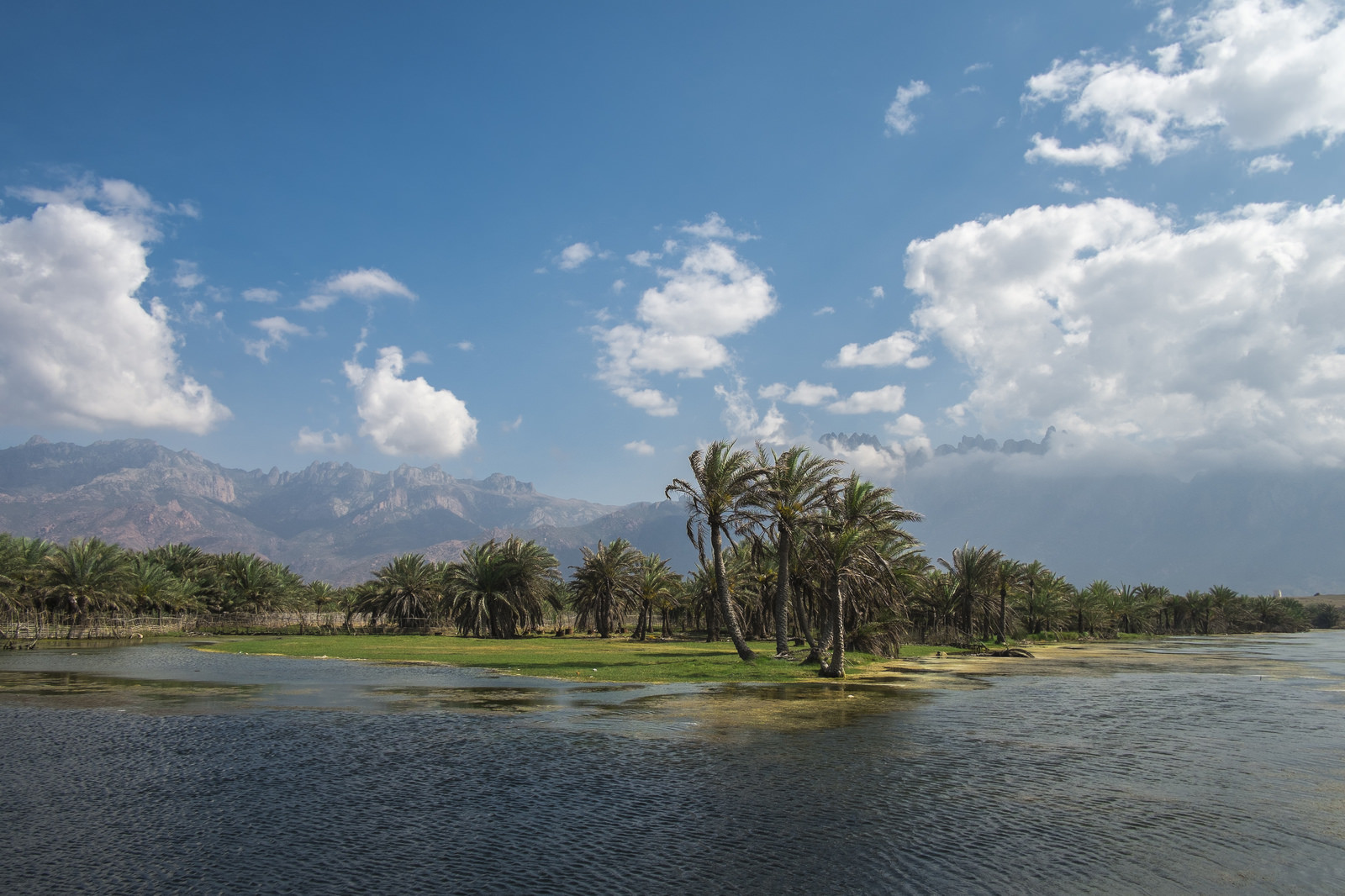 Остров Сокотра (Socotra) в Йемене. Фото 2 – фотографии Йемена