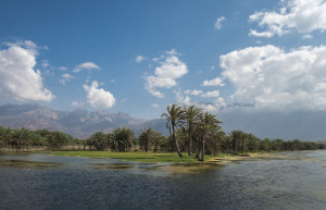 Остров Сокотра (Socotra) в Йемене. Фото 2 – фотографии Йемена