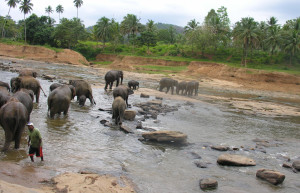 Берувела, Шри-Ланка, фото № 50764 – фотографии Шри-Ланки