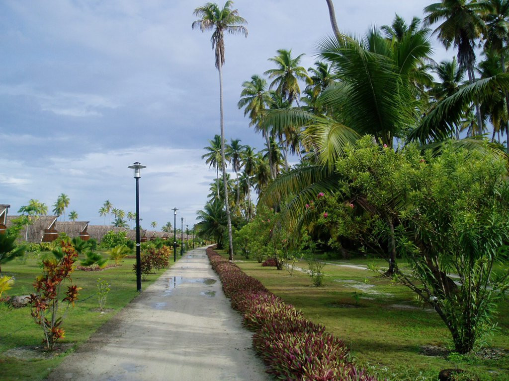 Парк на острове Альфонс – фотографии Сейшельских островов