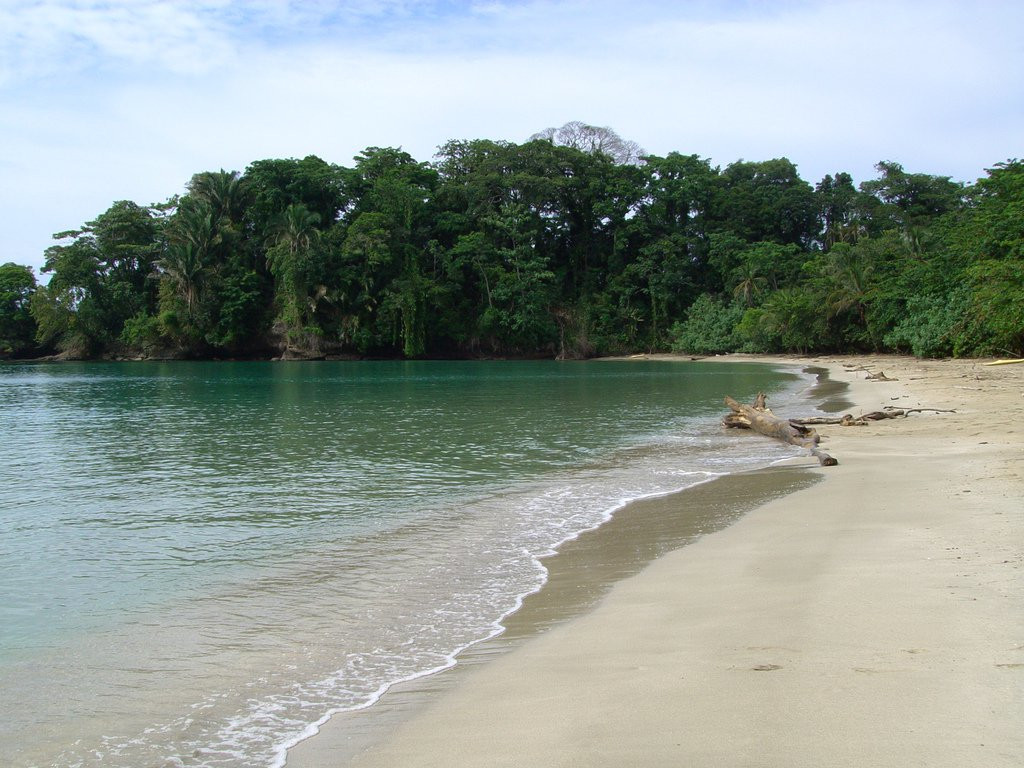 Пуэрто Вьехо, Лимон провинция, Коста-Рика, фото № 40190 – фотографии Коста-Рики