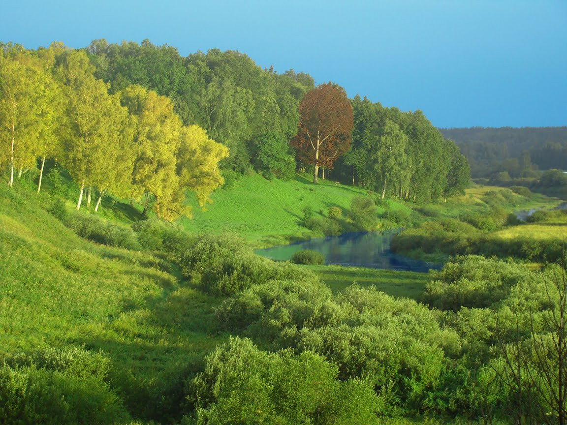 Природа в Пушкинские Горы, Россия. Фото 13 – фотографии России