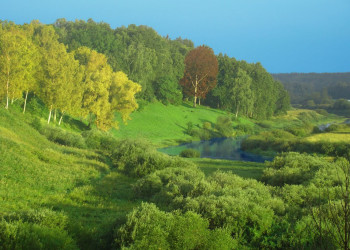 Природа в Пушкинские Горы, Россия. Фото 13 – фотографии России