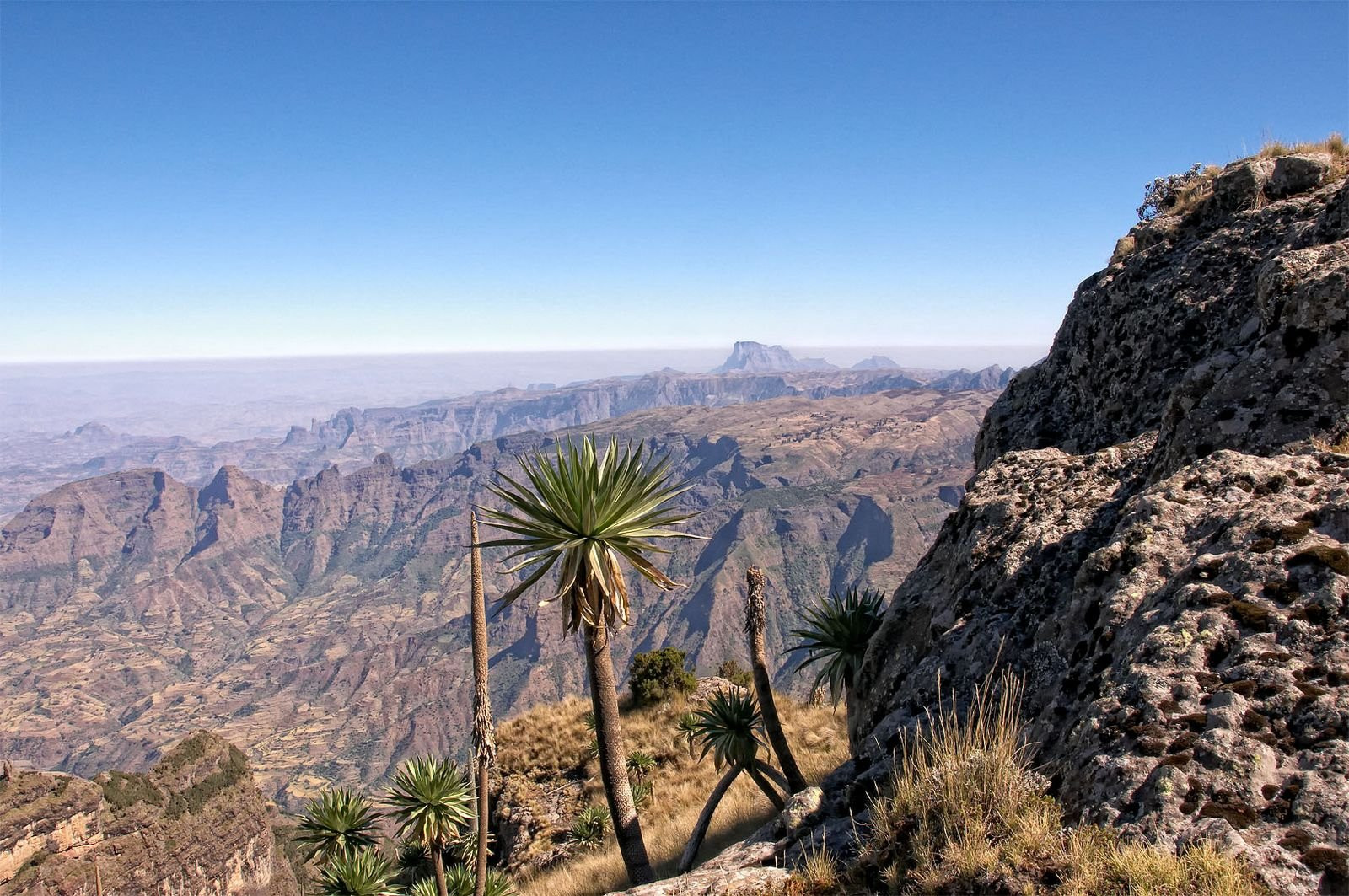 Скалы, Эфиопия. Фото 1 – фотографии Эфиопии