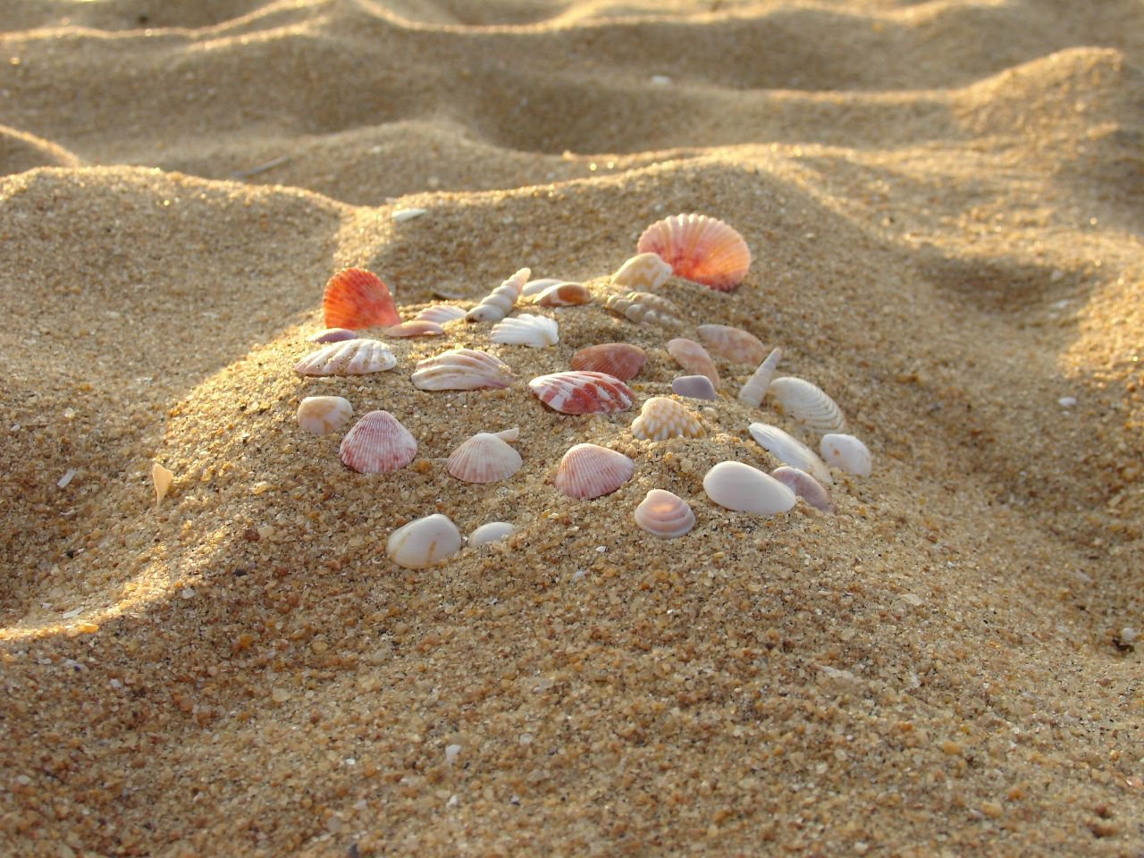 Маравила, Шри-Ланка, фото № 51705 – фотографии Шри-Ланки