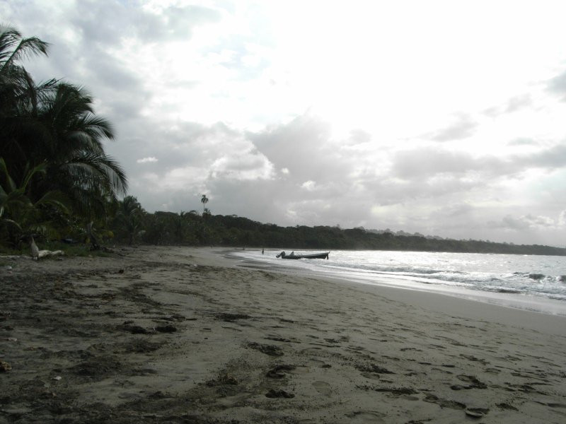 Манзанилло, Лимон провинция, Коста-Рика, фото № 40148 – фотографии Коста-Рики