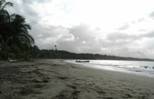 Манзанилло, Лимон провинция, Коста-Рика, фото № 40148 – фотографии Коста-Рики