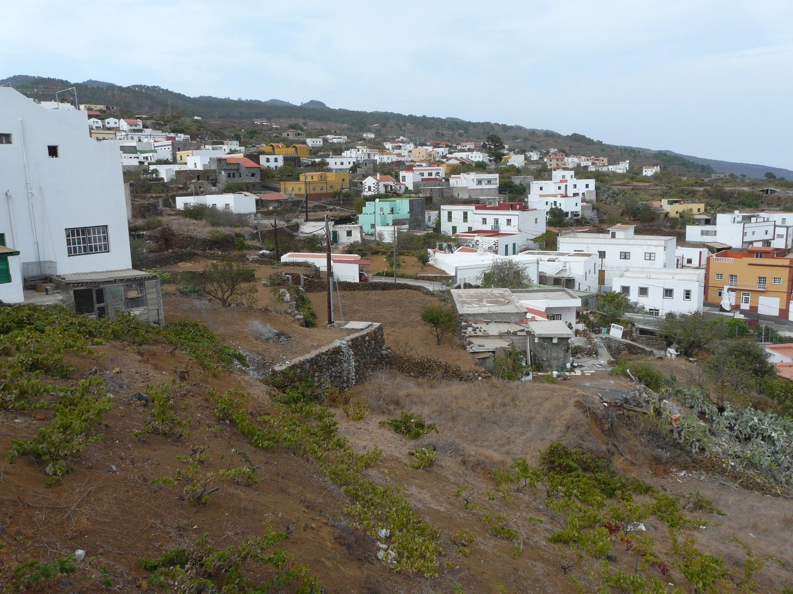 Эль-Пинар, Эль-Йерро остров, Канарские острова, фото № 34735 – фотографии Канарских островов