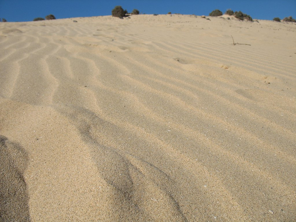 Коста-Кальма, Хандия полуостров, Фуэртевентура остров, Канарские острова, фото № 34270 – фотографии Канарских островов