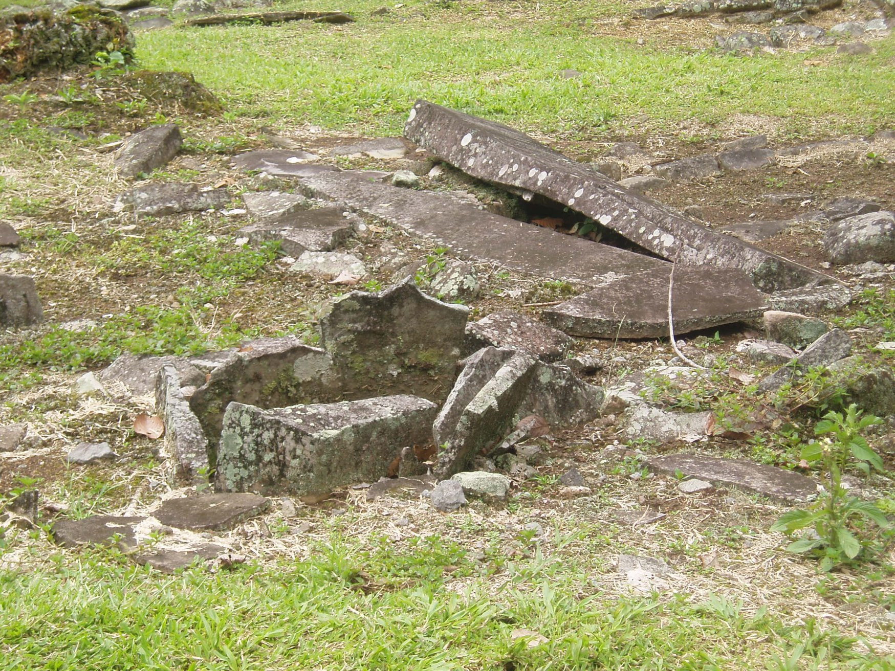 Гуаябо, Картаго провинция, Коста-Рика, фото № 39165 – фотографии Коста-Рики