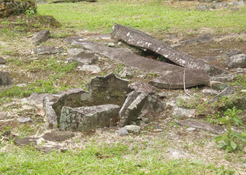 Гуаябо, Картаго провинция, Коста-Рика, фото № 39165 – фотографии Коста-Рики