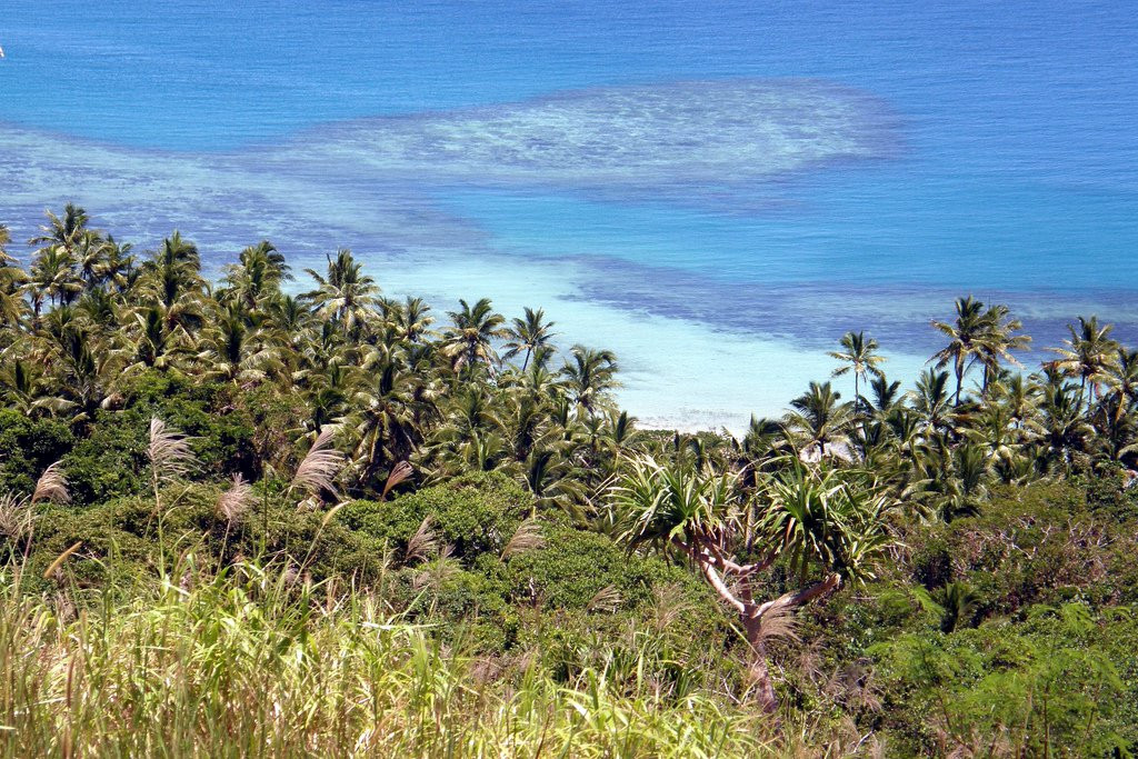 Вити Леву остров, Вити Леву группа островов, Фиджи, фото № 49688 – фотографии Фиджи