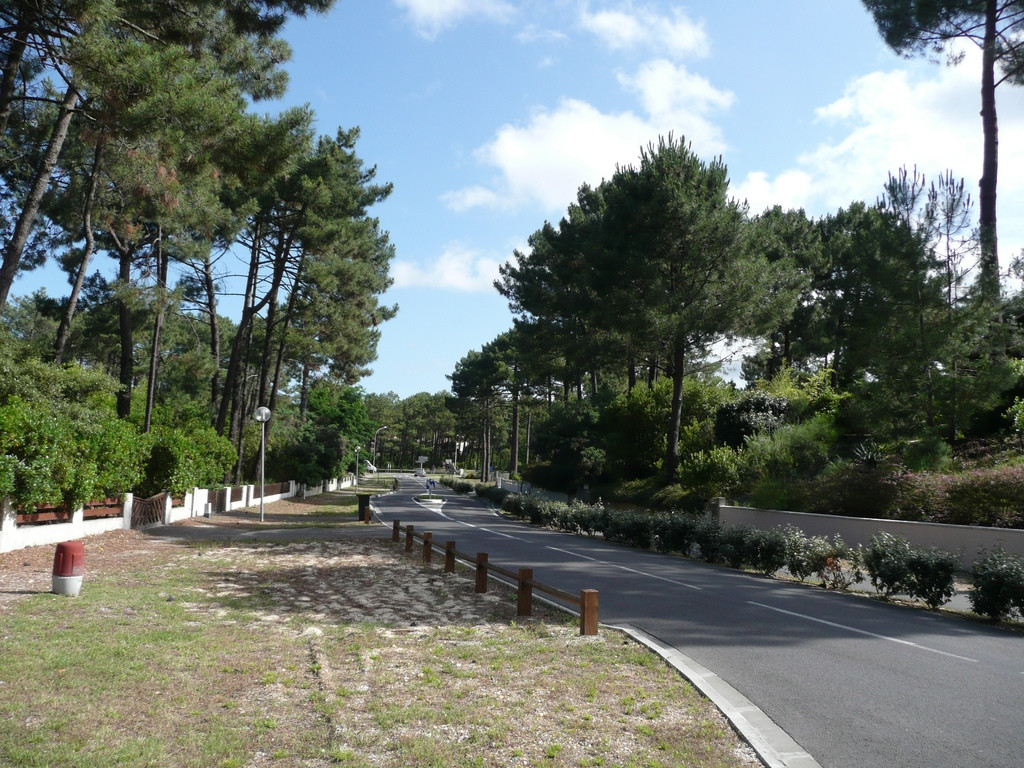 Природа в Лакано, Франция – фотографии Франции