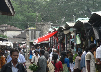 Тангалле, Шри-Ланка, фото № 52349 – фотографии Шри-Ланки