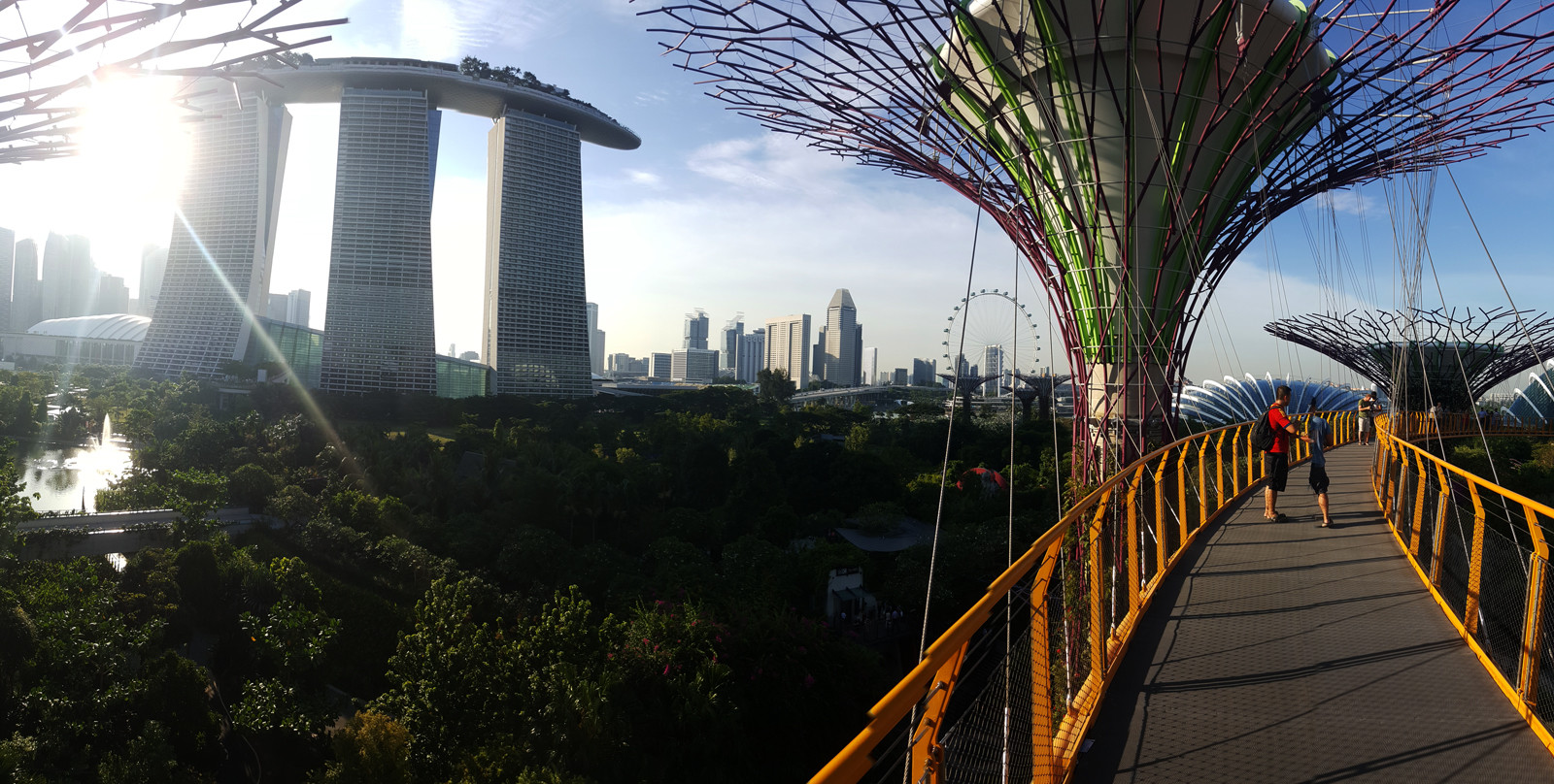 Сады у Залива (Gardens by the Bay). Фото 5 – фотографии Сингапура