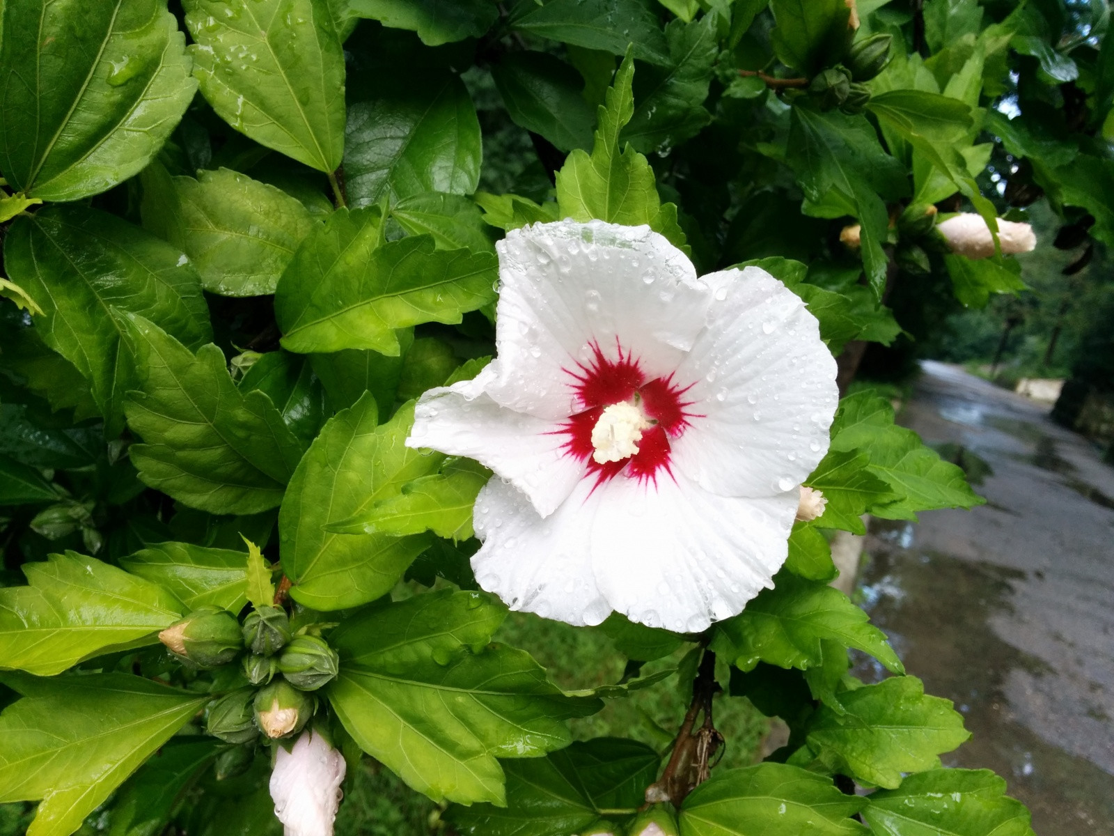 Посёлок Южный в 5 км от Туапсе. Фото 1 – фотографии России