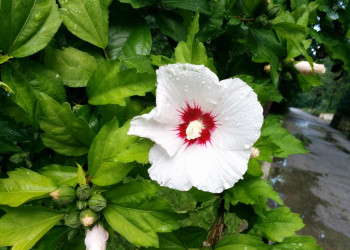 Посёлок Южный в 5 км от Туапсе. Фото 1 – фотографии России