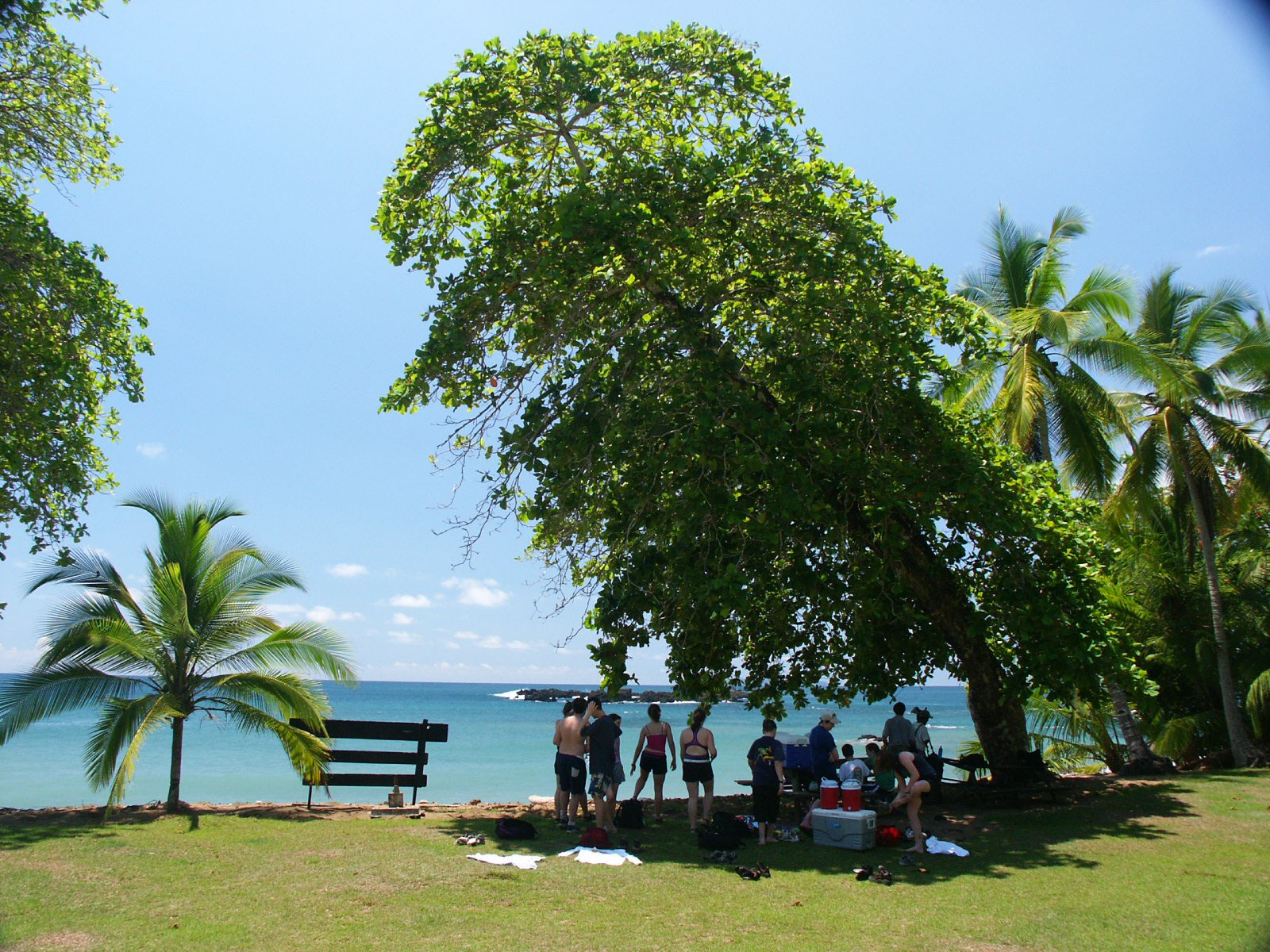 Корковадо Национальный Парк, Пунтаренас провинция, Коста-Рика, фото № 40539 – фотографии Коста-Рики