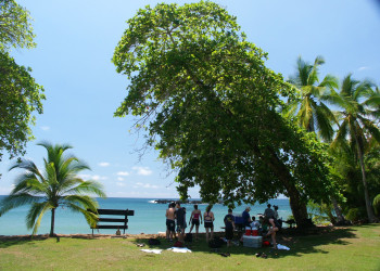 Корковадо Национальный Парк, Пунтаренас провинция, Коста-Рика, фото № 40539 – фотографии Коста-Рики