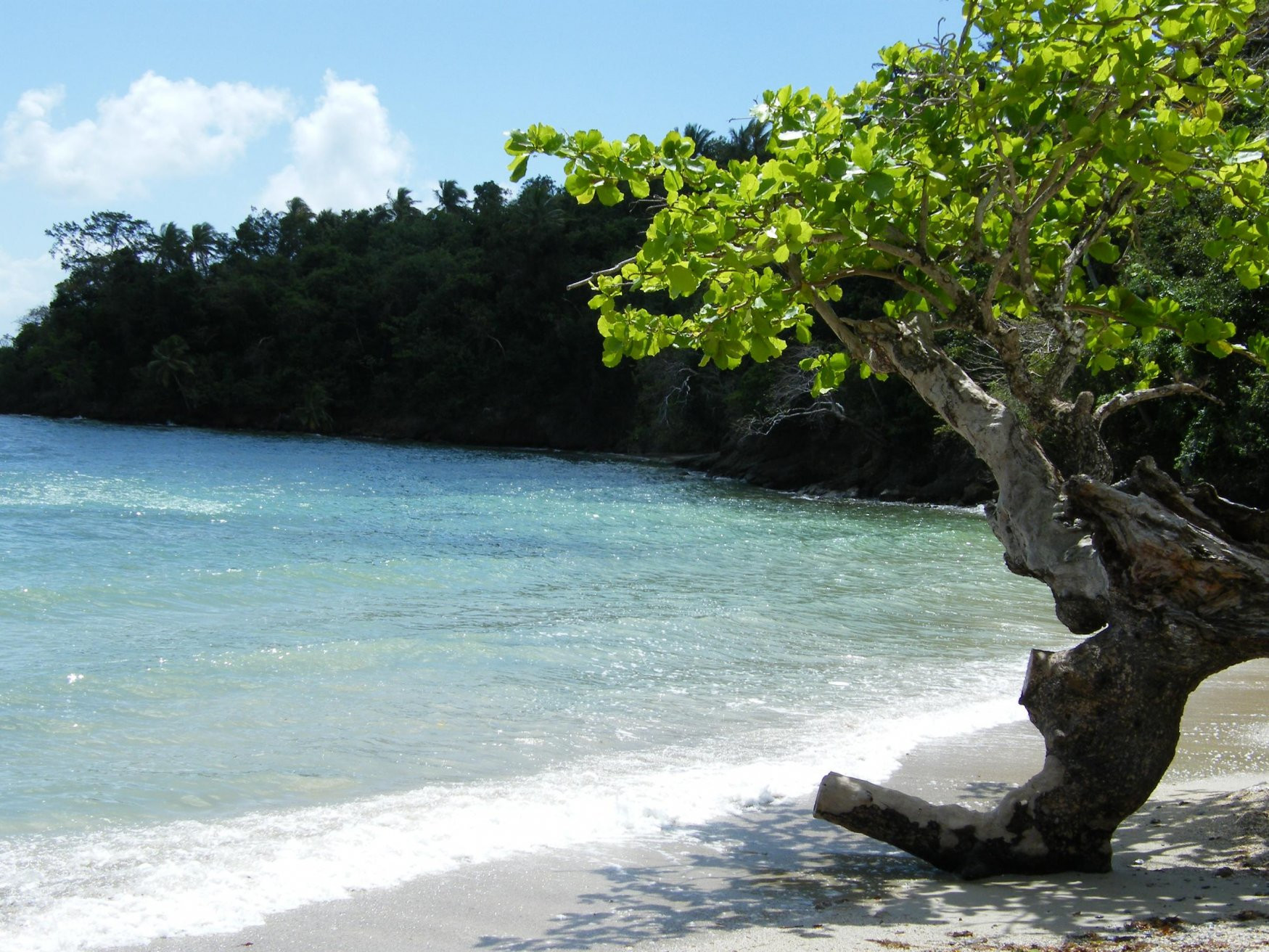 Самана, Доминикана, фото № 30646 – фотографии Доминиканы