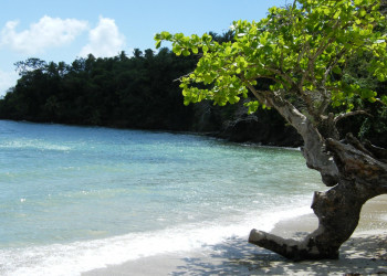 Самана, Доминикана, фото № 30646 – фотографии Доминиканы