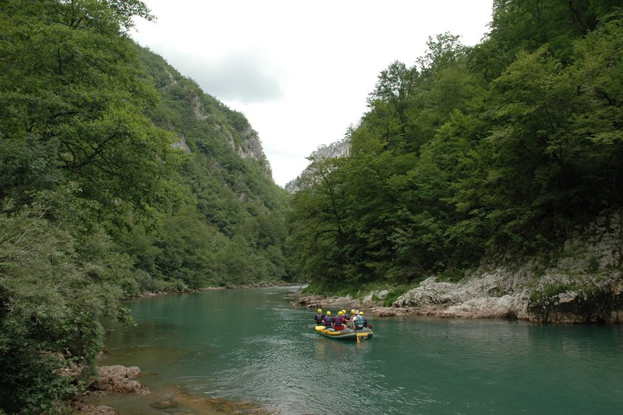 Тара Каньон – фотографии Черногории