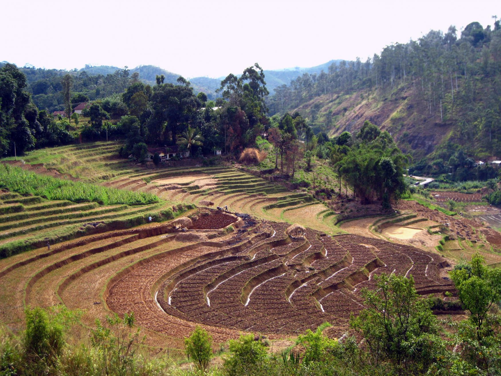 Нувара Элия, Шри-Ланка, фото № 52100 – фотографии Шри-Ланки