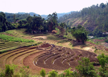 Нувара Элия, Шри-Ланка, фото № 52100 – фотографии Шри-Ланки