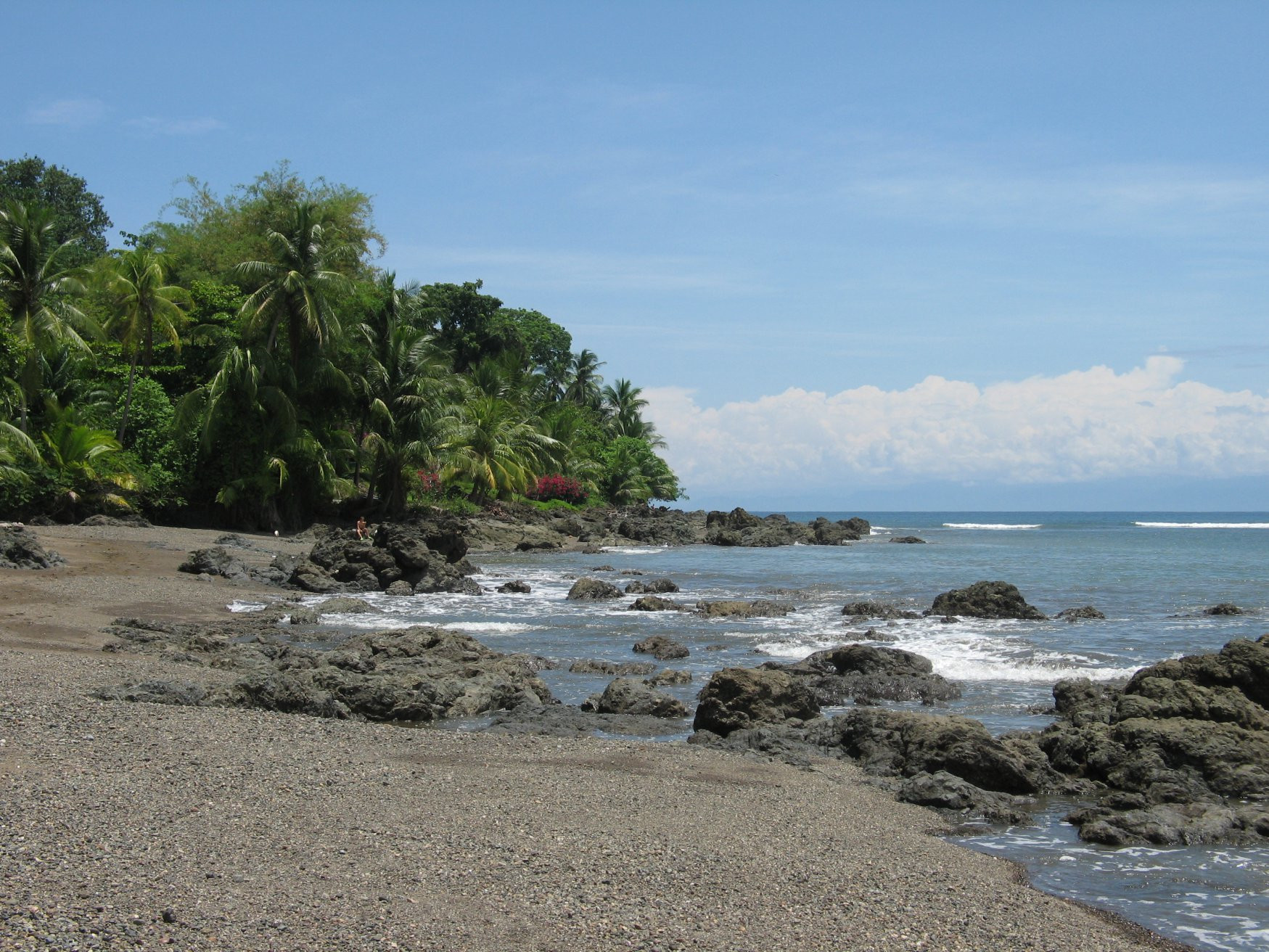 Дрейк Бэй, Пунтаренас провинция, Коста-Рика, фото № 40478 – фотографии Коста-Рики