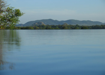 Кандалама, Шри-Ланка, фото № 51301 – фотографии Шри-Ланки