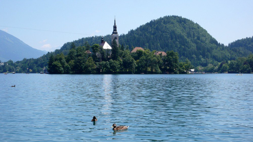 Блед Озеро, Словения, фото № 56833 – фотографии Словении