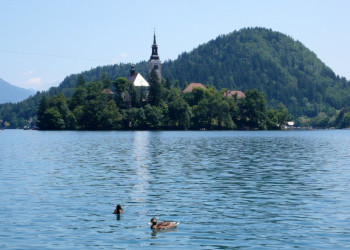 Блед Озеро, Словения, фото № 56833 – фотографии Словении